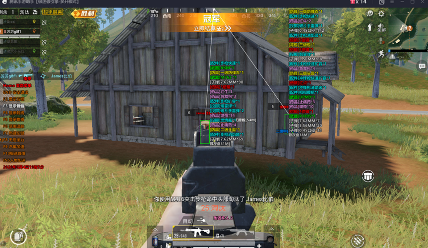 和平精英辅助【神女】